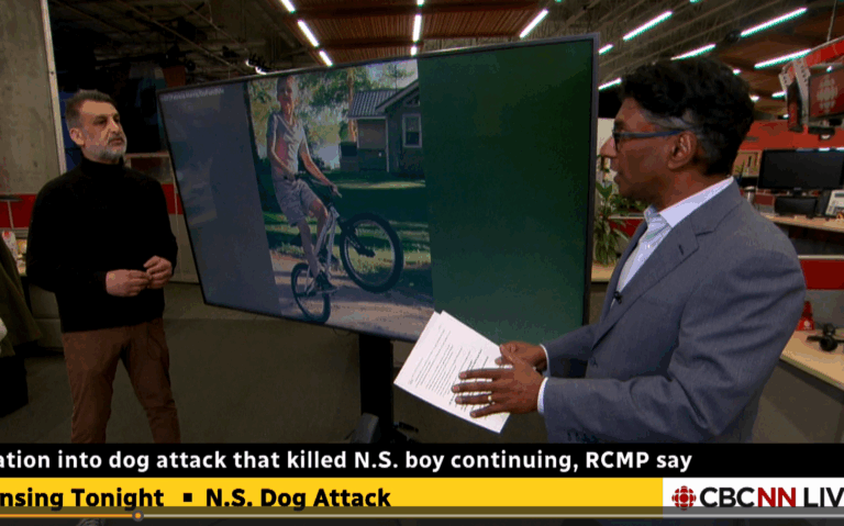 rishi dog attack nova scotia