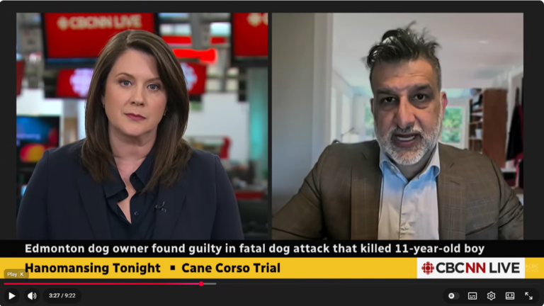 rishi edmonton dog attack 11 year old